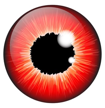 red  iris eye realistic  vector set design isolated on white background