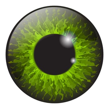 green iris eye realistic  vector set design isolated on white background