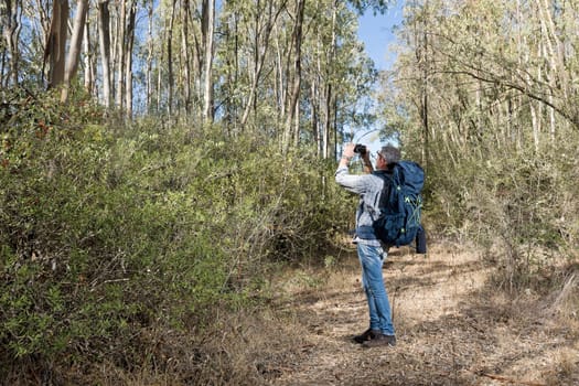 Hiker in the Sardinian Forest with mirrorless camera