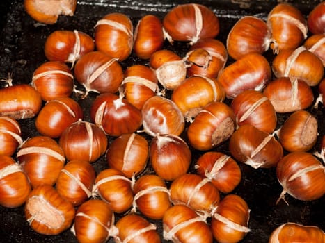 tray of freshly cooked roasted chestnuts autumn forage food kitchen home  essex  england  uk