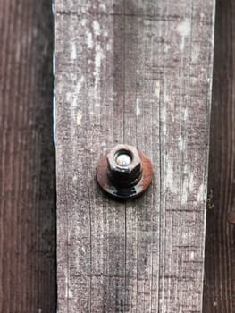 close up of old rusty screw head on rustic wooden fence  essex  england  uk