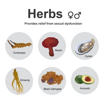 Chinese herbology is the theory of traditional Chinese herbal therapy, which accounts for the majority of treatments in traditional Chinese medicine.