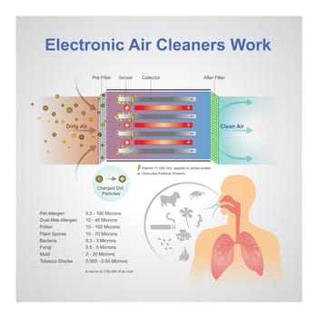 An air purifier is a device which removes contaminants from the air in a room. These devices are commonly marketed as being beneficial to allergy sufferers and asthmatics, and at reducing or eliminating second-hand tobacco smoke.