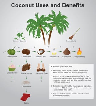 coconut production copra, coconut oil, copra meal, desiccated coconut, coco shell charcoal, activated carbon and coco chemicals