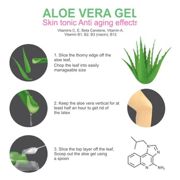 Aloe vera is a succulent plant species of the genus Aloe. It grows wild in tropical climates around the world and is cultivated for agricultural and medicinal uses. Aloe is also used for decorative purposes and grows successfully indoors as a potted plant..