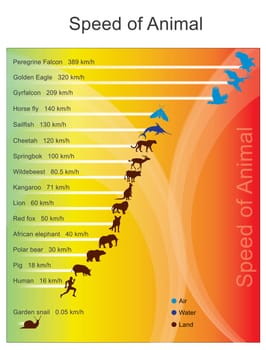 The fastest animal chart. Vector graphic design.