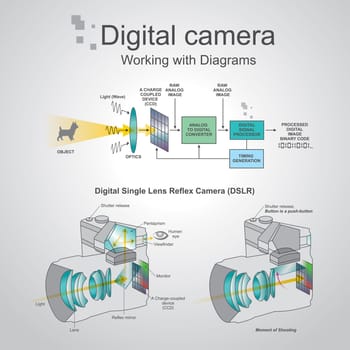 A digital single-lens reflex camera is a digital camera that combines the optics and the mechanisms of a single-lens reflex camera with a digital imaging sensor, as opposed to photographic film. The reflex design scheme is the primary difference between a DSLR and other digital cameras..