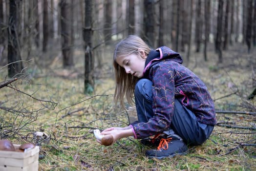 Girl collects mushrooms