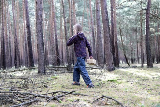 Girl collects mushrooms