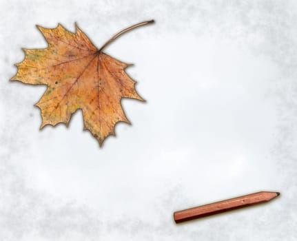 maple leaf and pencil