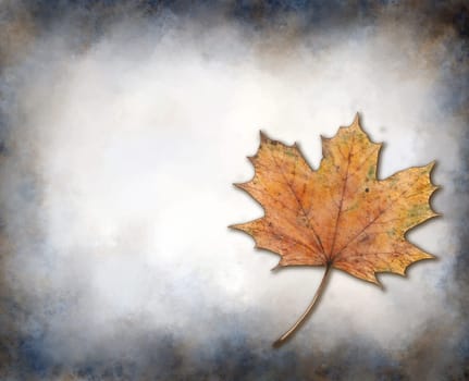 maple leaf on a stained background