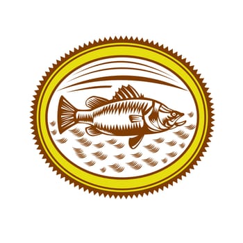 Retro style illustration of Saltwater Barramundi or barramundi, Asian sea bass (Lates calcarifer), a species of catadromous fish set inside Rosette on isolated background.
