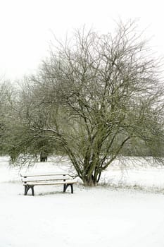 Bench in a park near Magdeburg in winter