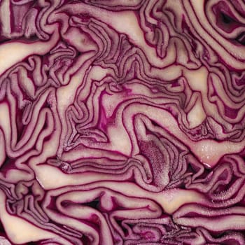Close up shot of red cabbage texture using a s background
