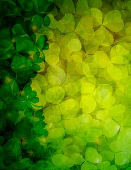 St Patricks Day Shamrock Leaves Border and Background Illustration