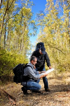 Hikers looking at the map on a forest trail on a beautiful autumn day
