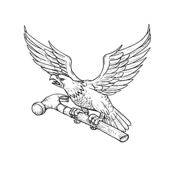 Drawing sketch style illustration of an American Bald Eagle clutching a hammer viewed from side on isolated background.