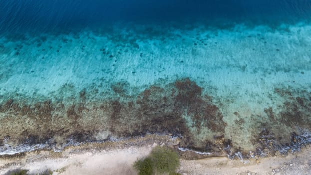sea beach coast Bonaire island Caribbean sea