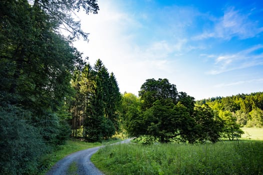 Wooded landscape in the low mountain range of Hesse