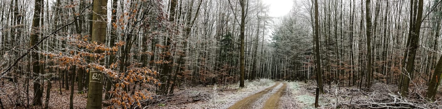 Beautiful panoramic picture of a landscape shot in winter in Central Hesse,Germany