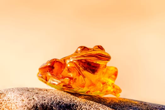 Amber,frog on the Baltic Sea beach