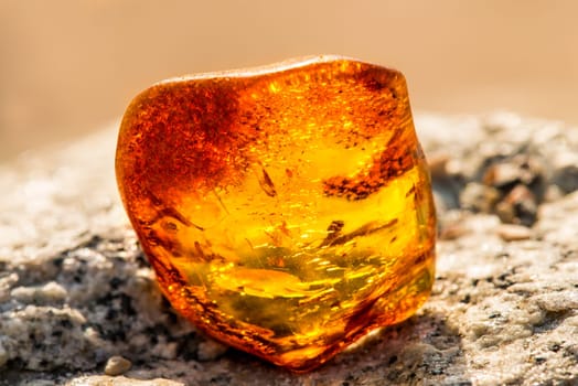 Amber on the Baltic Sea beach.