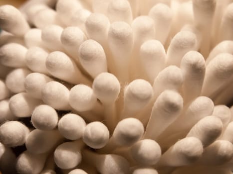 close of bunch of cotton wool bud q tips top   essex  england  uk