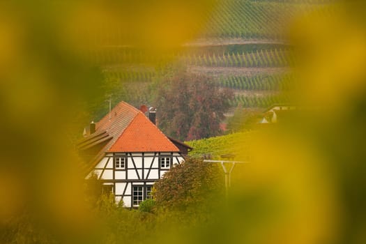 Half-timbered house framed with autumn leaves