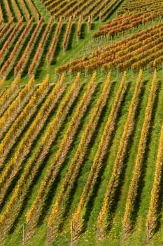 Linear herbicides