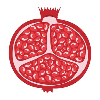 Whole pomegranate design juicy fresh fruit icon. Raw red pomegranate flat cartoon vector illustration template.