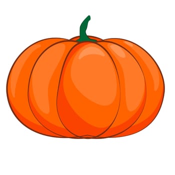 Halloween isolated pumpkin in vector. Autumn dall thanksgiving food for vegetarian. Natural seasonal plant from farm or garden. White light and orange.