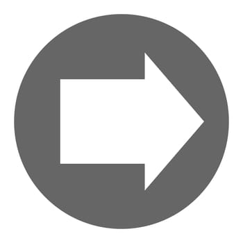 Pointer, arrow in modern flat style. Arrow vector button isolated on white background. Symbol for web design, site, app, UI.