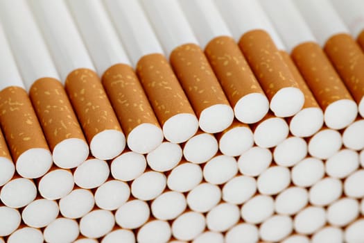 Detail of the heap of filter cigarettes