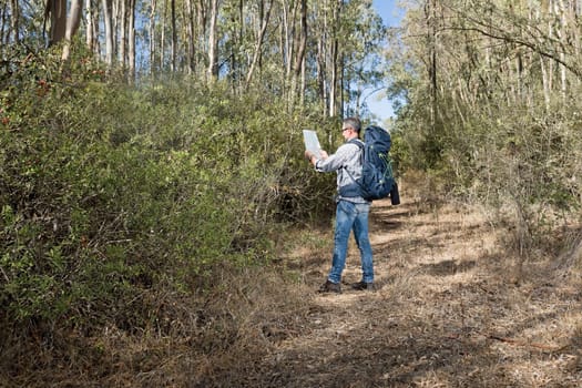Hiker in the Sardinia forest front the back looking a map on the wood