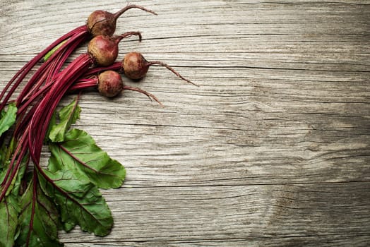 Fresh vegetables of organic Beetroot on wooden background