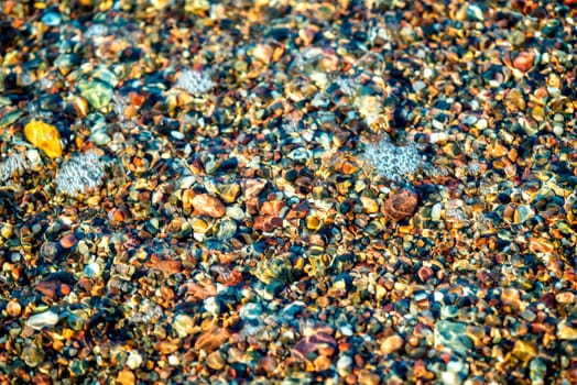 Gravel on the Baltic Sea beach
