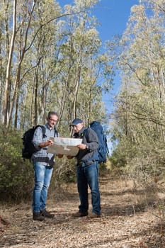 Hikers are stuck in the woods using the map to navigate.