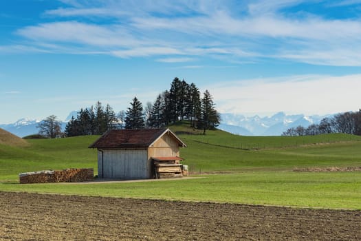 Alpine mountains spring landscape with sunny green grassland field and wooden shed
