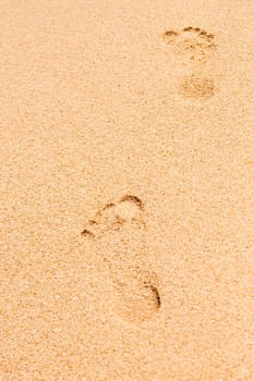 Wooden board background