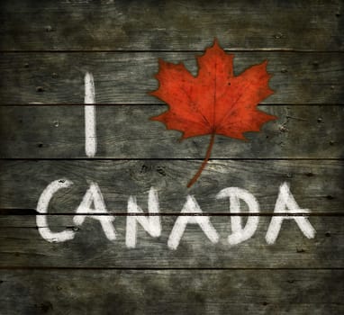i love canada - text with maple leaf on old wooden boards