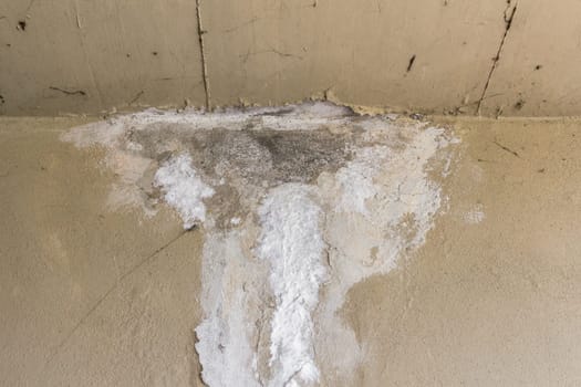 Old peeled wall with mold. Vintage background.