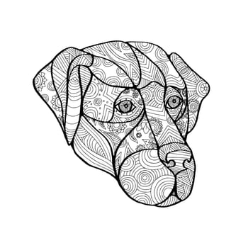Mandala style illustration of a labrador retriever dog head viewed from front on isolated backgound.