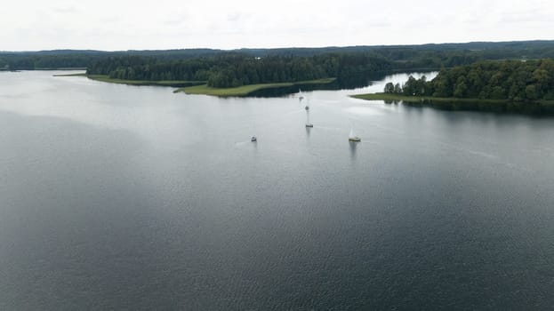 Plateliai lake Lithuania Aerial drone top view