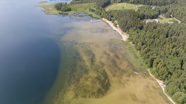 Plateliai lake Lithuania Aerial drone top view