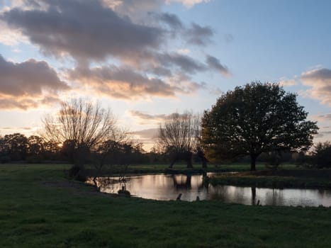 beautiful autumn bare branches no leaves countryside river sun set  essex  england  uk
