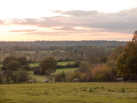 beautiful country scene fields trees horizon sky red autumn sun set Dedham Vale  essex  england  uk
