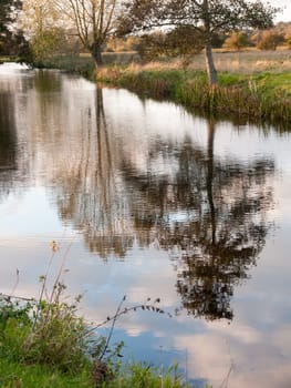 beautiful river stour lake autumn trees reflection countryside  essex  england  uk