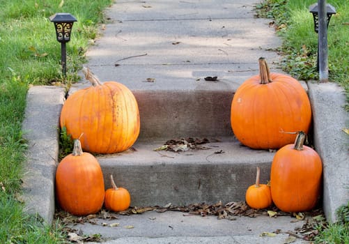 Pumpkins on the step