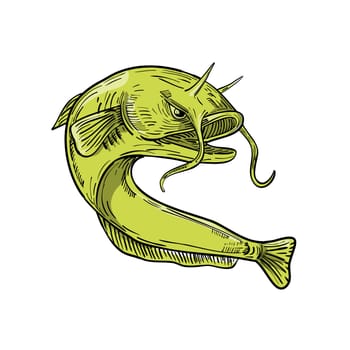 Drawing sketch style illustration of the giant devil catfish or goonch, a very large species of catfish in the genus Bagarius, jumping up on isolated background.