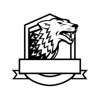 Retro style illustration of an angry wolf growling set inside crest shield with banner done in black and white on isolated background.
